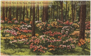 The flower town in the pines, Municipal Park, Summerville, S. C.