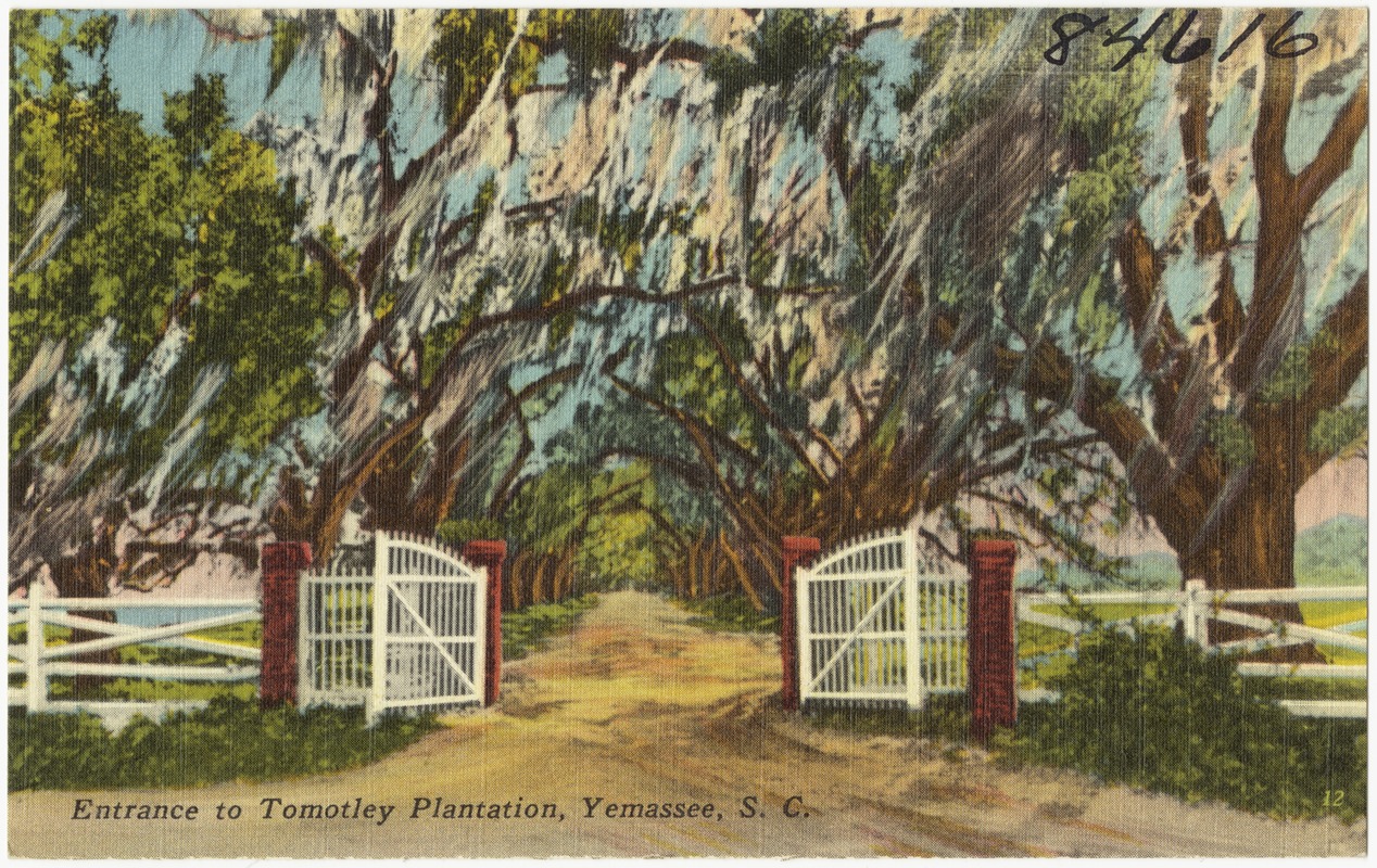 Entrance to Tomotley Plantation, Yemassee, S. C.