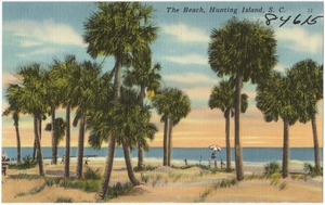 The beach, Hunting Island, S. C.