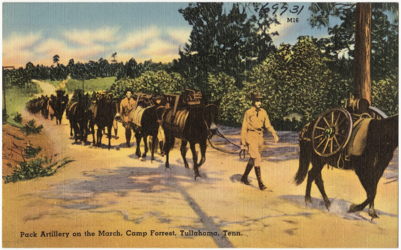 Pack artillery on the march, Camp Forest, Tullahoma, Tenn.