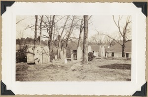 Litchfield graves marked by dark shrub