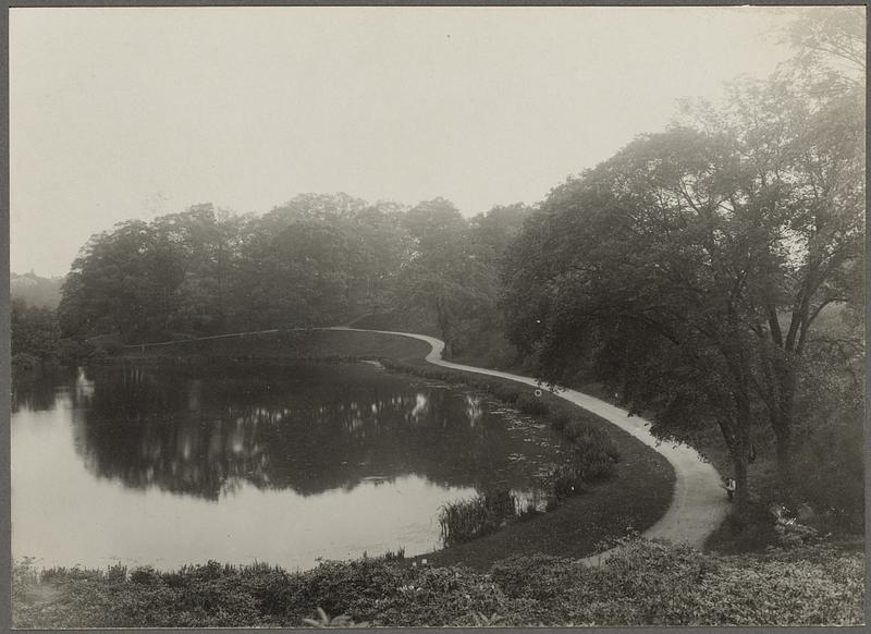 Massachusetts. Boston. Ward's Pond