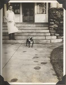 A man in an apron holds the leash of a Boston terrier