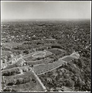 Aerial photograph of West Roxbury, Boston