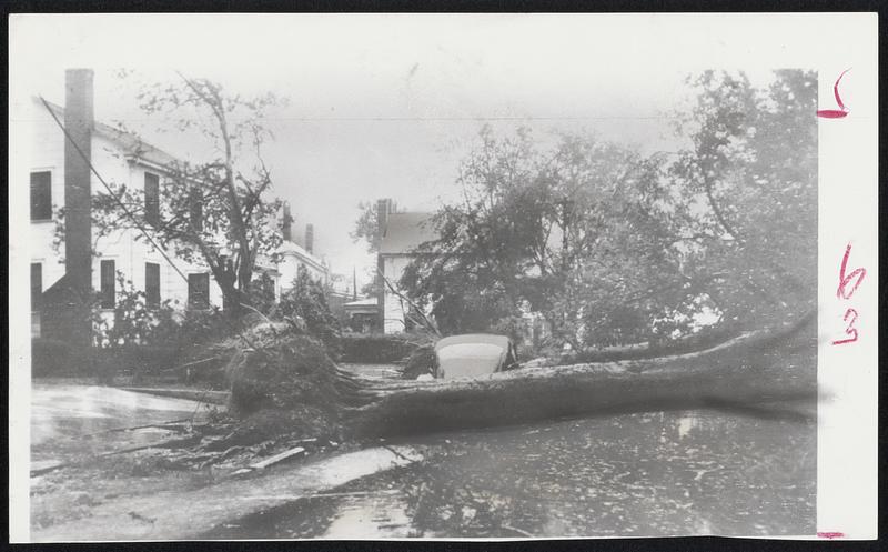 Car is Sandwiched between two trees in the residential section of New Bern. N. C. Trees fell across telephone wires. Hurricane winds and high water caused much damage for the third time this year.