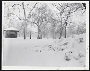 Fresh Mantle Of Snow covers Boston Common as new snowstorm struck today. And spring is only one day away.