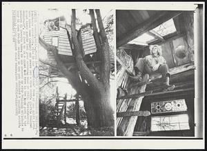 House With a View--Richard Holland, 24, landscape architect, sits in the "mediation" room of his split level tree house home (right) and peers out of a view window(left). Holland spent three months last year erecting what he calls "environmental sculpture". 22 feet up in a giant Oak tree in the back yard of his mothers El Cerrito home. He was ordered by city building officials to tear it down Feb.10 because he has not obtained a building permit. Officials later changed their minds.