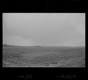 Hay field at Colby Farm in Newbury