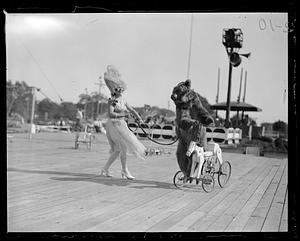 A woman in costume holds the leash of a bear holding onto a wheeled horse