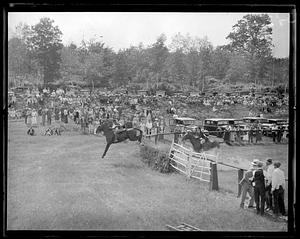 Horse jumping