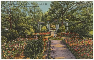 Jack Gardens, one of the many beautiful gardens in Augusta, Georgia