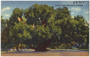 Lover's Oak, Brunswick, Georgia