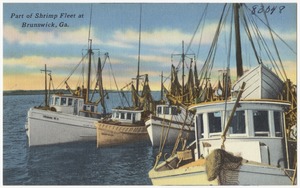 Part of shrimp fleet at Brunswick, Ga.