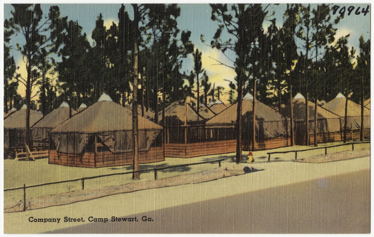 Company street, Camp Stewart, Ga.