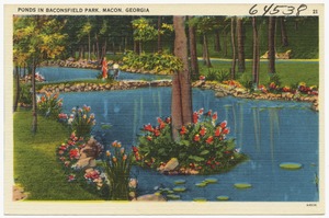Ponds in Baconsfield  Park, Macon, Georgia