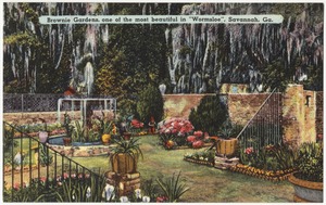 Brownie Gardens, one of the most beautiful in "Wormsloe", Savannah, Ga.