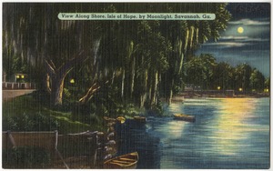 View along shore, Isle of Hope, by moonlight, Savannah, Ga.