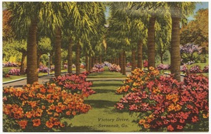 Victory Drive, Savannah, Ga.