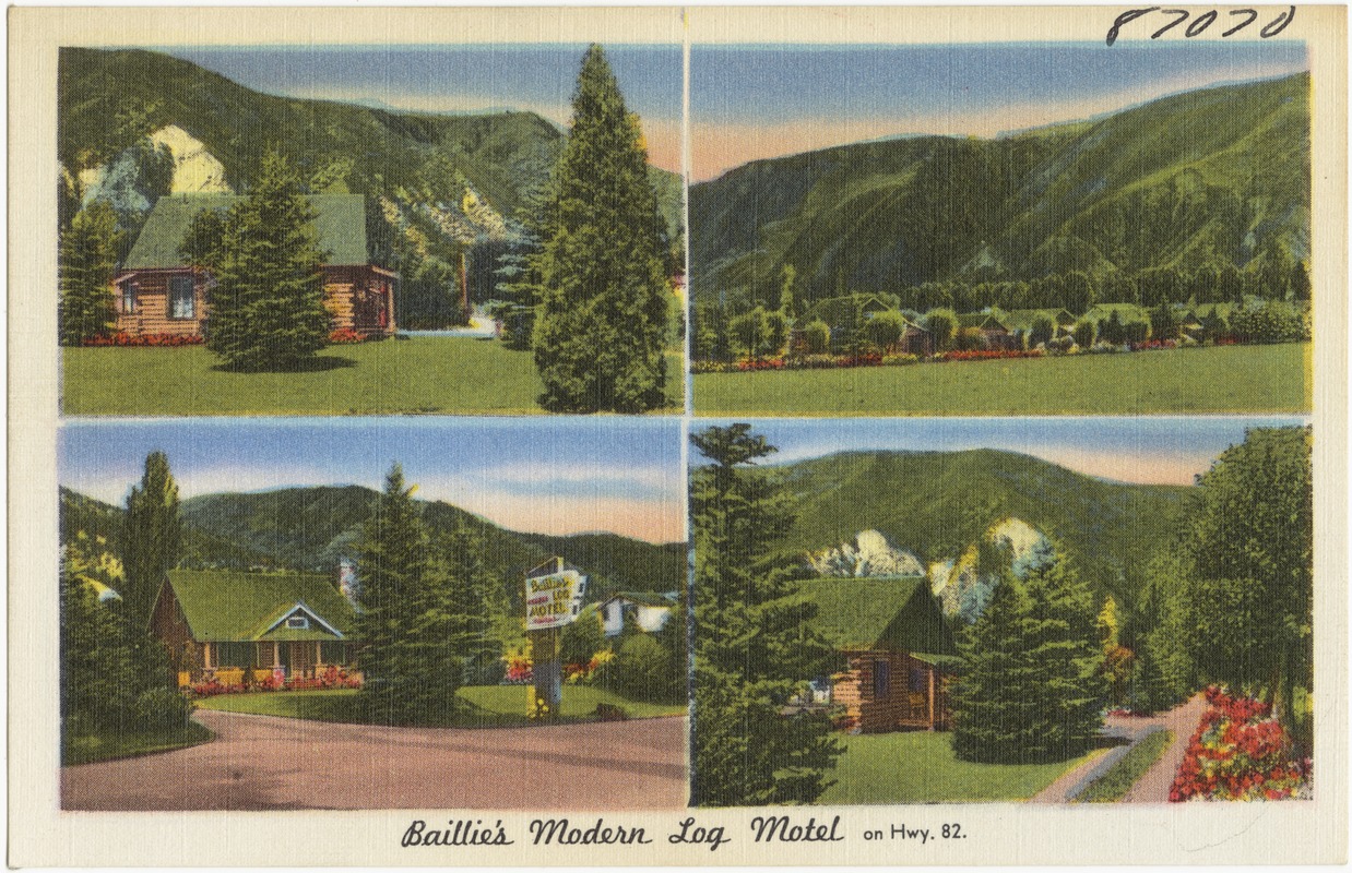 Baillie's Modern Log Motel on Hwy. 82