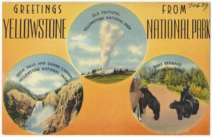 Greetings from Yellowstone National Park -- Old Faithful, Great Falls and Grand Canyon, Road Beggars
