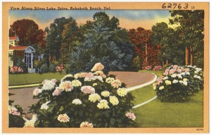 View along Silver Lake Drive, Rehoboth Beach, Del.
