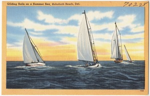 Gliding sails on a summer sea, Rehoboth Beach, Del.