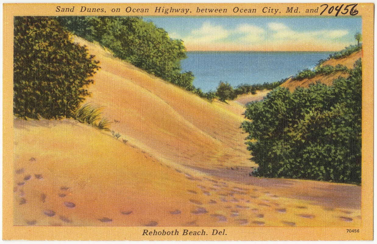 Sand dunes, on Ocean Highway, between Ocean City, Md. and Rehoboth Beach, Del.
