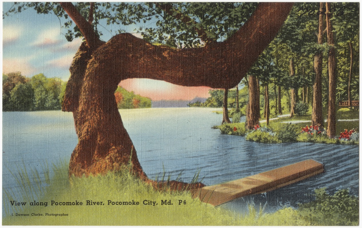 View along Pocomoke River, Pocomoke City, Md.