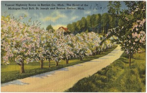Typical highway scene in Berrien Co. Mich. The heart of the Michigan Fruit Belt, St. Joseph and Benton Harbor, Mich.
