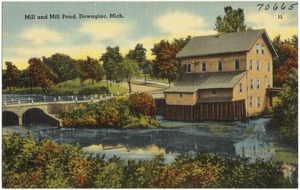 Mill and mill pond, Dowagiac, Mich.