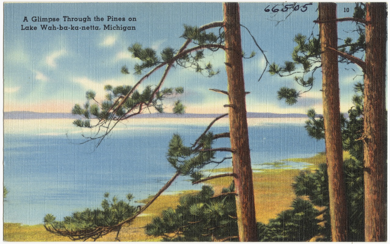 A glimpse through the pines on Lake Wah-ba-ka-netta, Michigan
