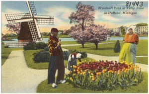 Windmill Park at Tulip Time in Holland, Michigan