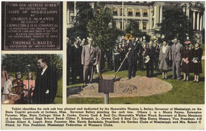 Tablet identifies the cork oak tree planted and dedicated by the Honorable Thomas L. Bailey, Governor of Mississippi, on the State Capitol grounds at Jackson, Miss.