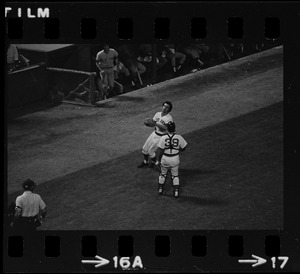 Boston Red Sox third baseman Rico Petrocelli catches a ball in foul territory in front of the New York Yankees dugout as Red Sox catcher Tim Blackwell (#39) looks on
