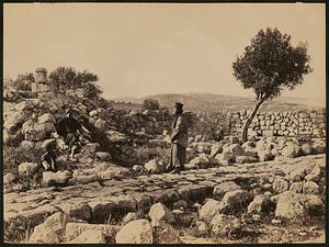 Near Bethlehem - supposed site of the angel's appearance to the shepherds