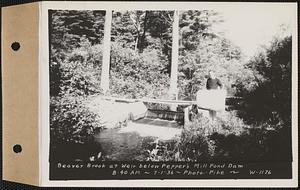 Beaver Brook at weir below Pepper's mill pond dam, Ware, Mass., 8:40 AM, Jul. 1, 1936