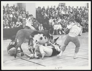 Standing Left to Right, Bob Desimone, Fred White