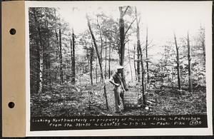 Contract No. 55, Portion of Petersham-New Salem Highway, Petersham, Franklin County (Worcester County?), looking northwesterly on property of Margaret Fiske, from Sta. 391+50, Franklin County, Mass., Jul. 9, 1936