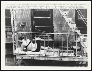 Shapely women New Yorker escapes the heat of New York sidewalks by sunbathing on fire escape of her apartment here 5/8. The Metropolitan area sweltered through the hottest day of the year, 5/8, as the temperature climbed to 87.