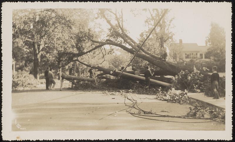 1938 Hurricane, Pond Street