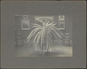 Lawrence Library interior