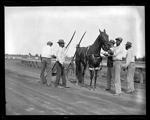 A horse on a racetrack, cart behind it