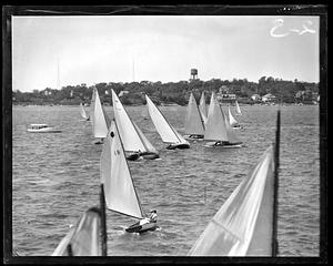 Sailboats