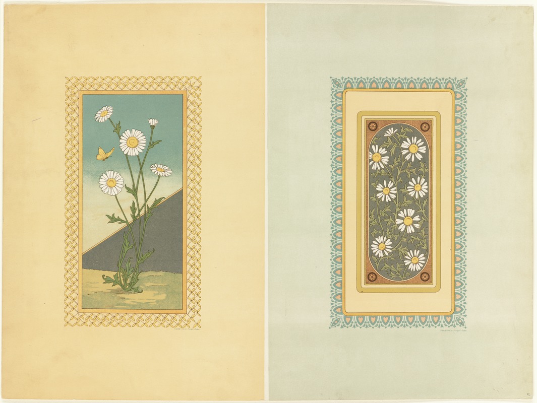 Daisies used in designs