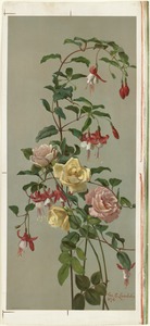 Roses and fuchsia