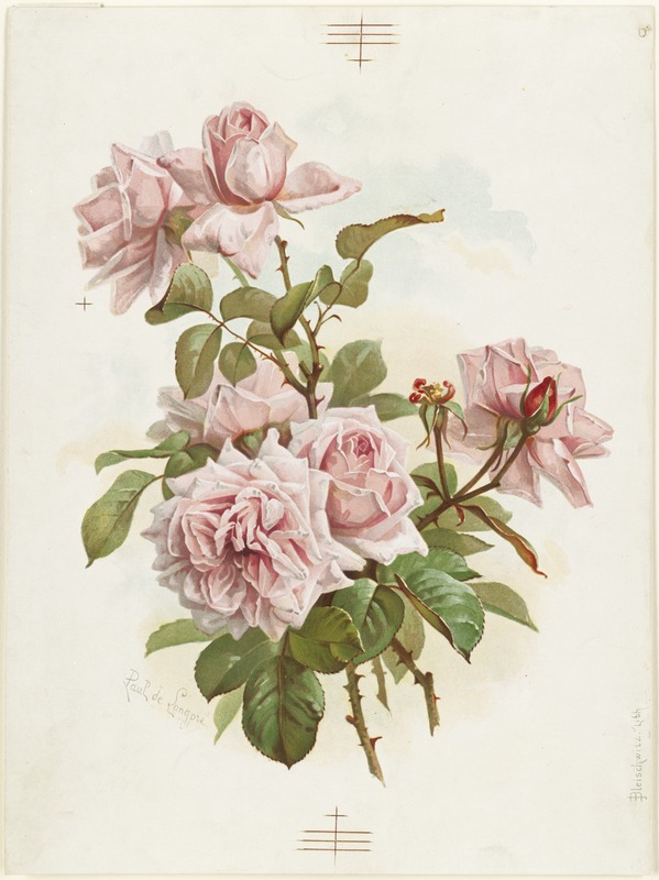 Pink roses; La France roses