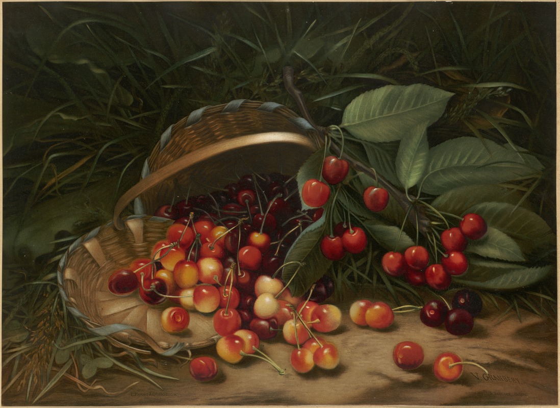 Cherries
