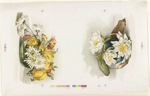 Two prints of chrysanthemums