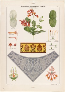 Plant-forms ornamentally treated - honeysuckle
