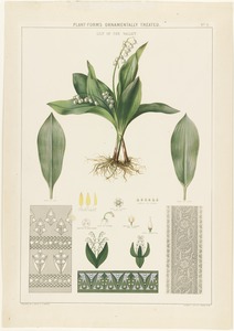 Plant-forms ornamentally treated - lily of the valley